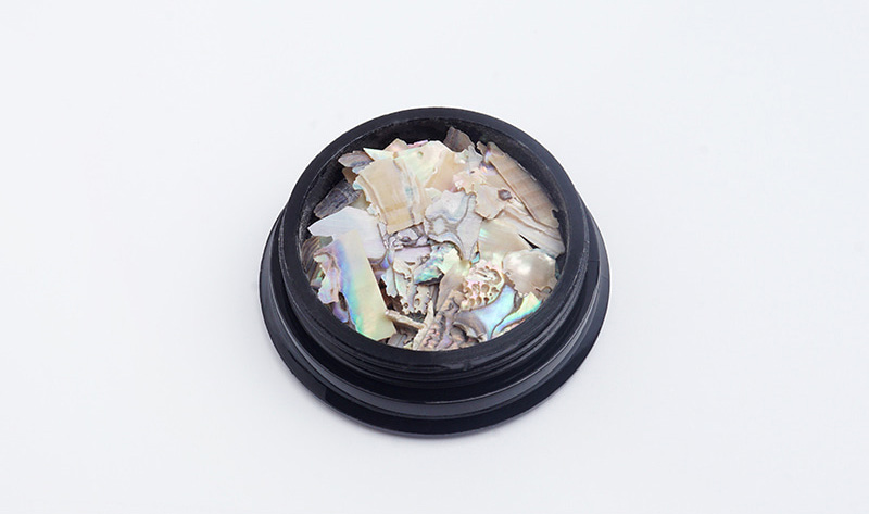 nailart_allthatnail_2otherartgoods_shellflakeginza2_01.jpg