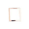 frame-series-12-rose-gold-option_25.jpg