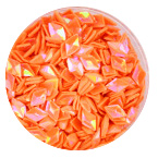 option_09.jpg