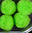porm-porm-long-box-option_26.jpg