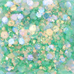 kirakira-glitter-set-option_25.jpg