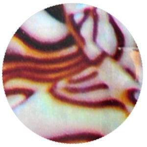 foilset6-option_14.jpg