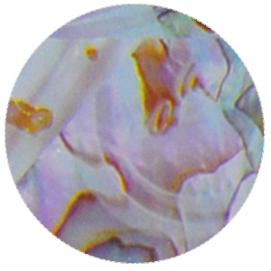 foilset6-option_08.jpg