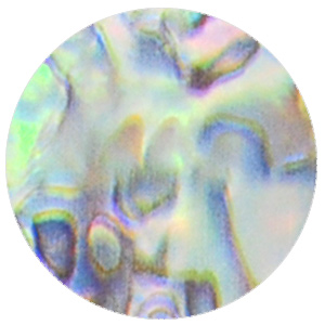 foilset6-option_23.jpg