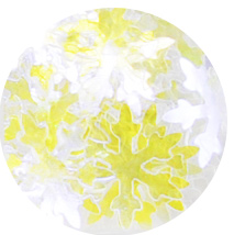 snow-flake-option_16.jpg