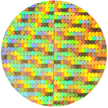 golden-holo-foil-opt_30.jpg