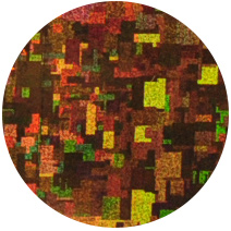 golden-holo-foil-opt_09.jpg