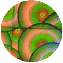 golden-holo-foil-opt_06.jpg