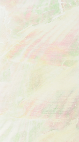 shell-sticker-opt_17.jpg