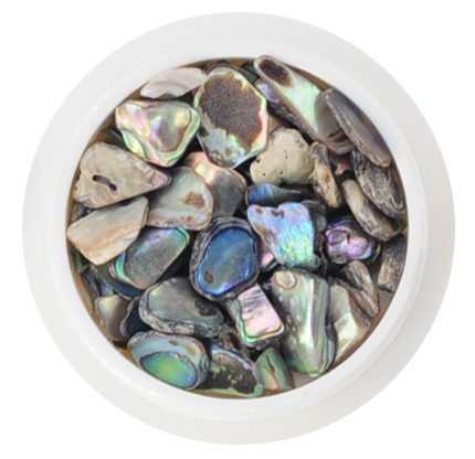 shell-stone-set-opt_06.jpg