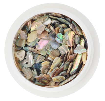 shell-stone-set-opt_03.jpg