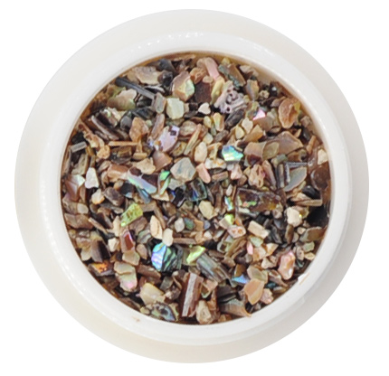 shell-stone-set-opt_09.jpg
