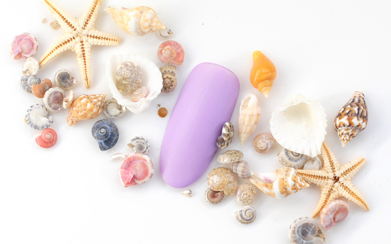 summer-shell-4.jpg