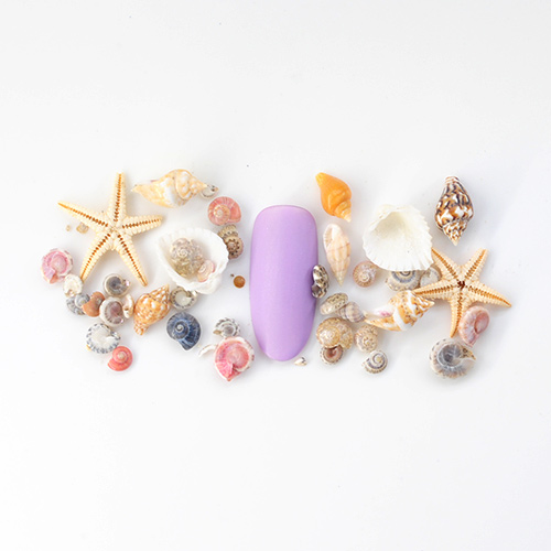 tip-summer-collection.jpg