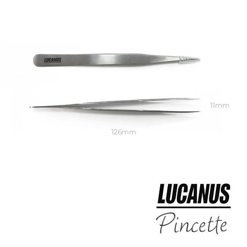 Lucanus-pincette4-2.jpg