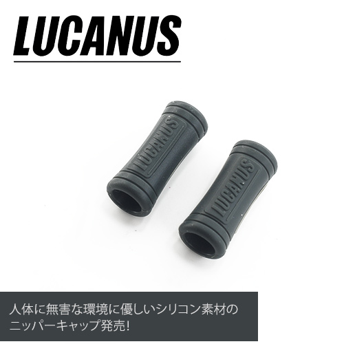 lucanus-cap1-2.jpg
