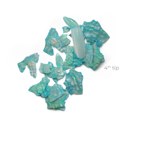 shell-replace5.jpg