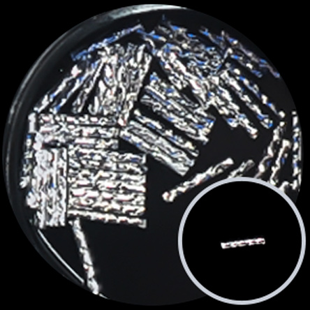 metal12-individual2_19.jpg