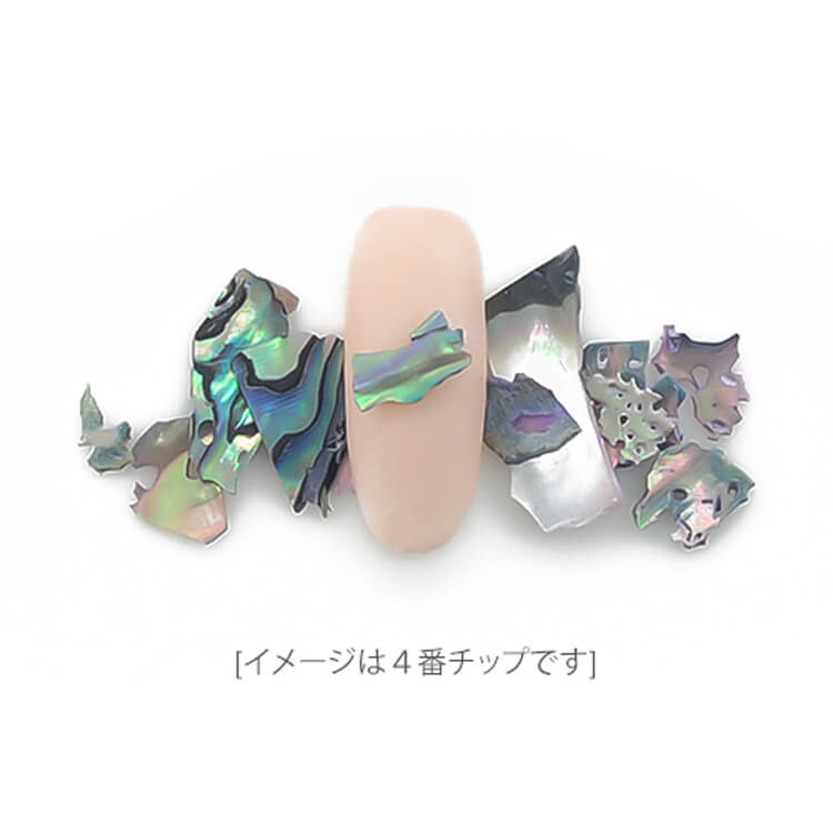 shell-set2.jpg