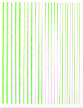ネオンラインシール (7).jpg