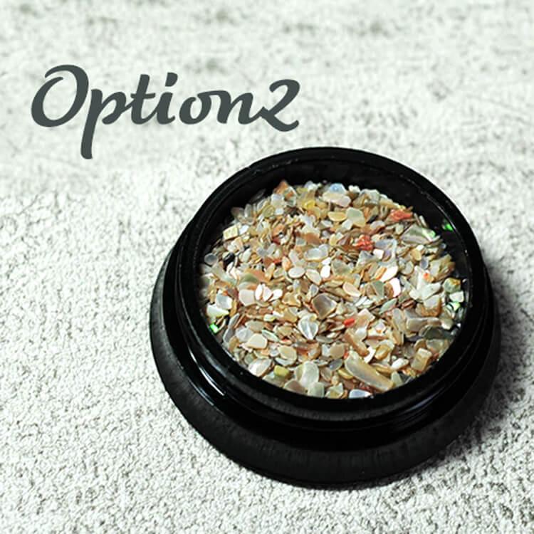 shell-2types-option2.jpg