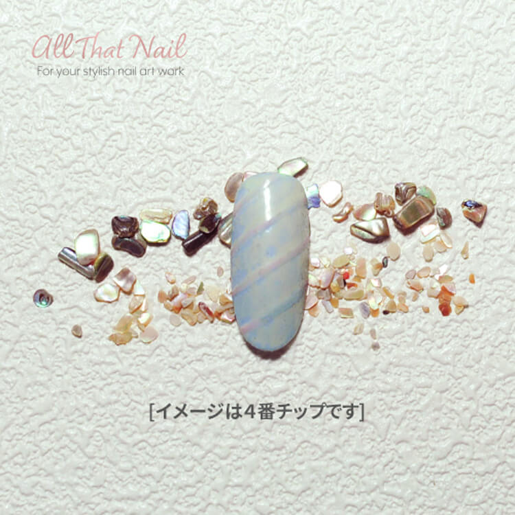 shell-2types1.jpg