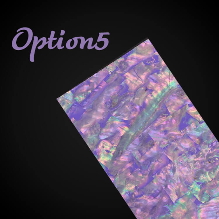 shell-paper-opt5.jpg