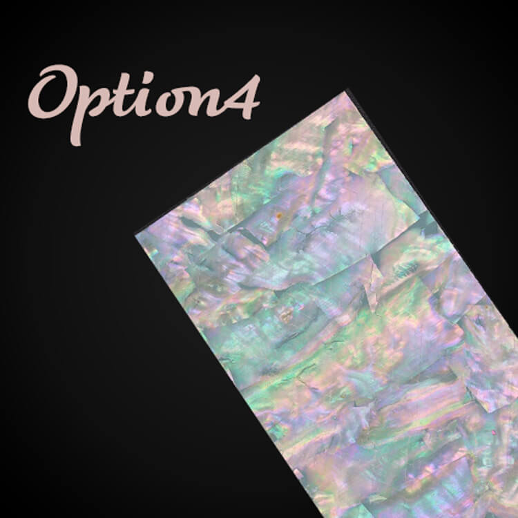 shell-paper-opt4.jpg