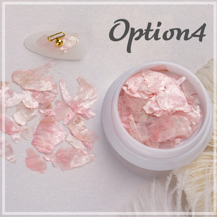 natural-shell-6-colors-opt4.jpg