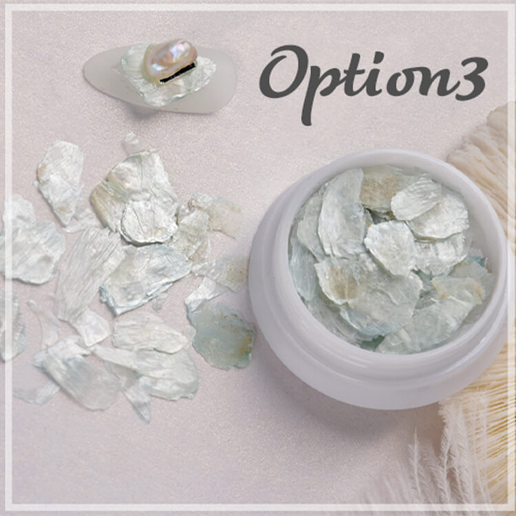 natural-shell-6-colors-opt3.jpg