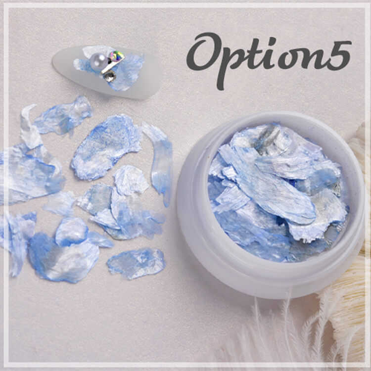 natural-shell-6-colors-opt5.jpg